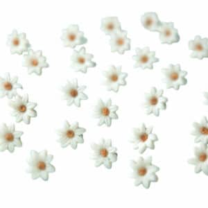 Pendientes Margaritas